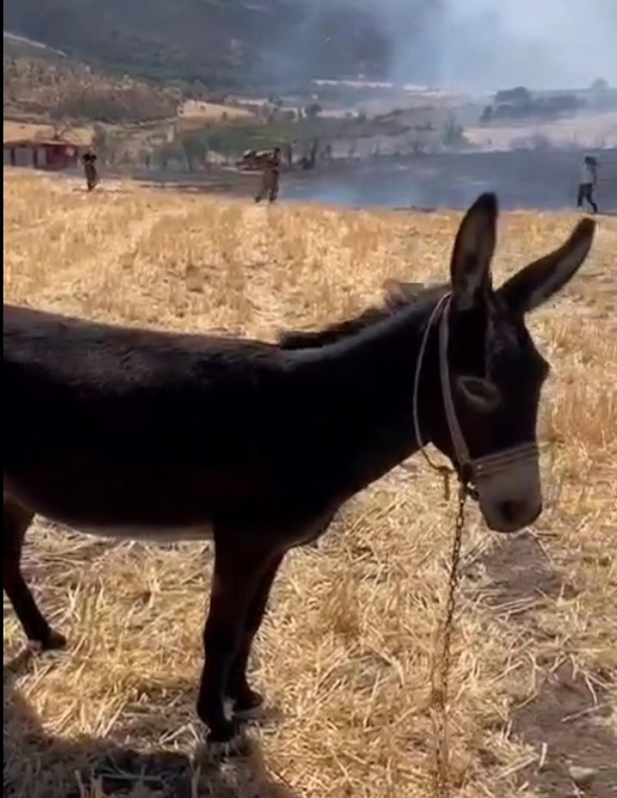 Çanakkale\'de Tarım Arazisi Yangını Kontrol Altına Alındı