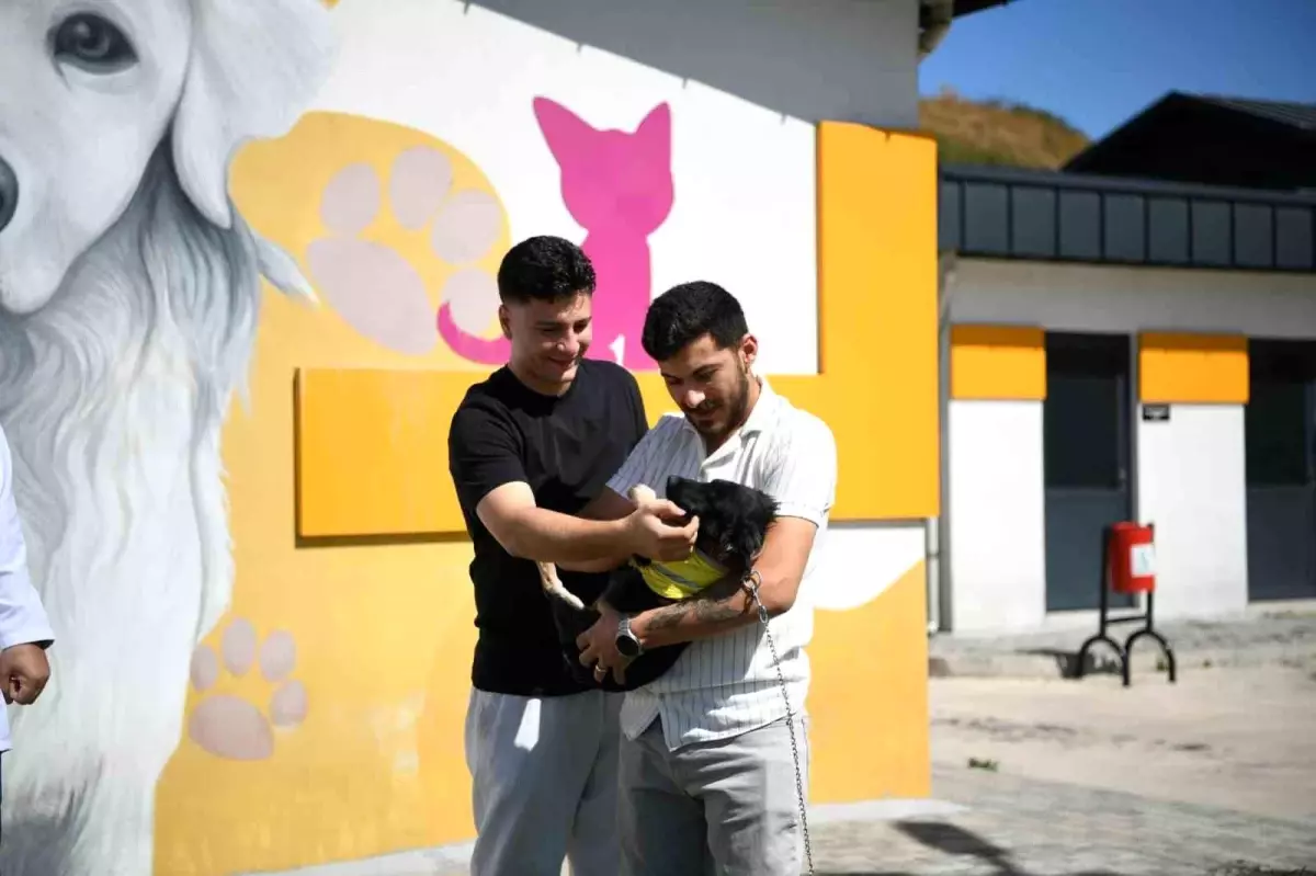 Zifte Bulanmış Köpek \'Zift\', Kurtaranları Tarafından Sahiplendi