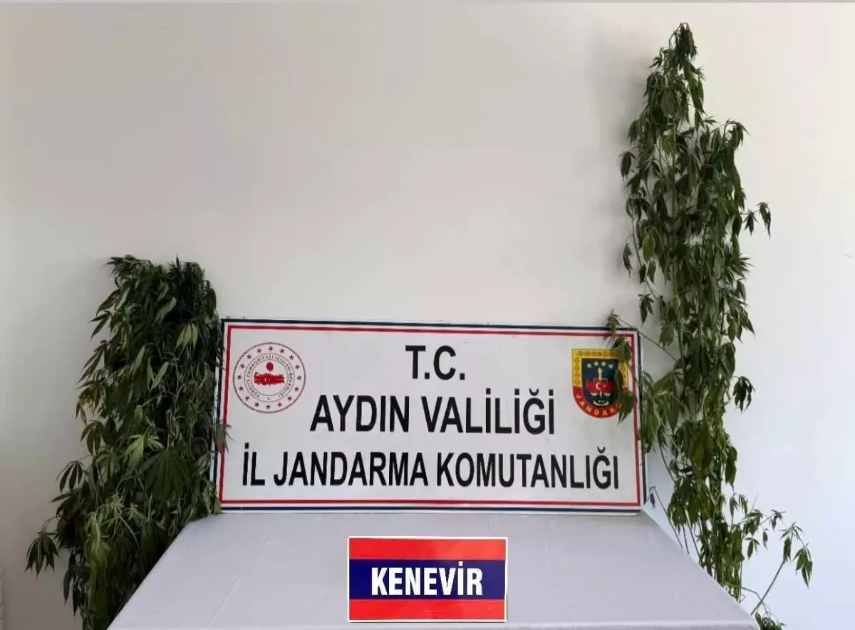 Aydın\'da Uyuşturucu Operasyonu: 12 Gözaltı