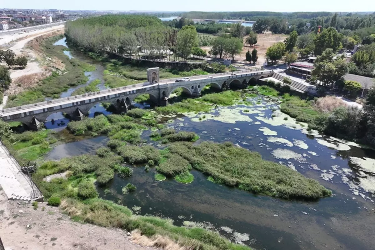 Edirne\'de kuraklık alarmı! Tunca Nehri\'ni otlar kapladı