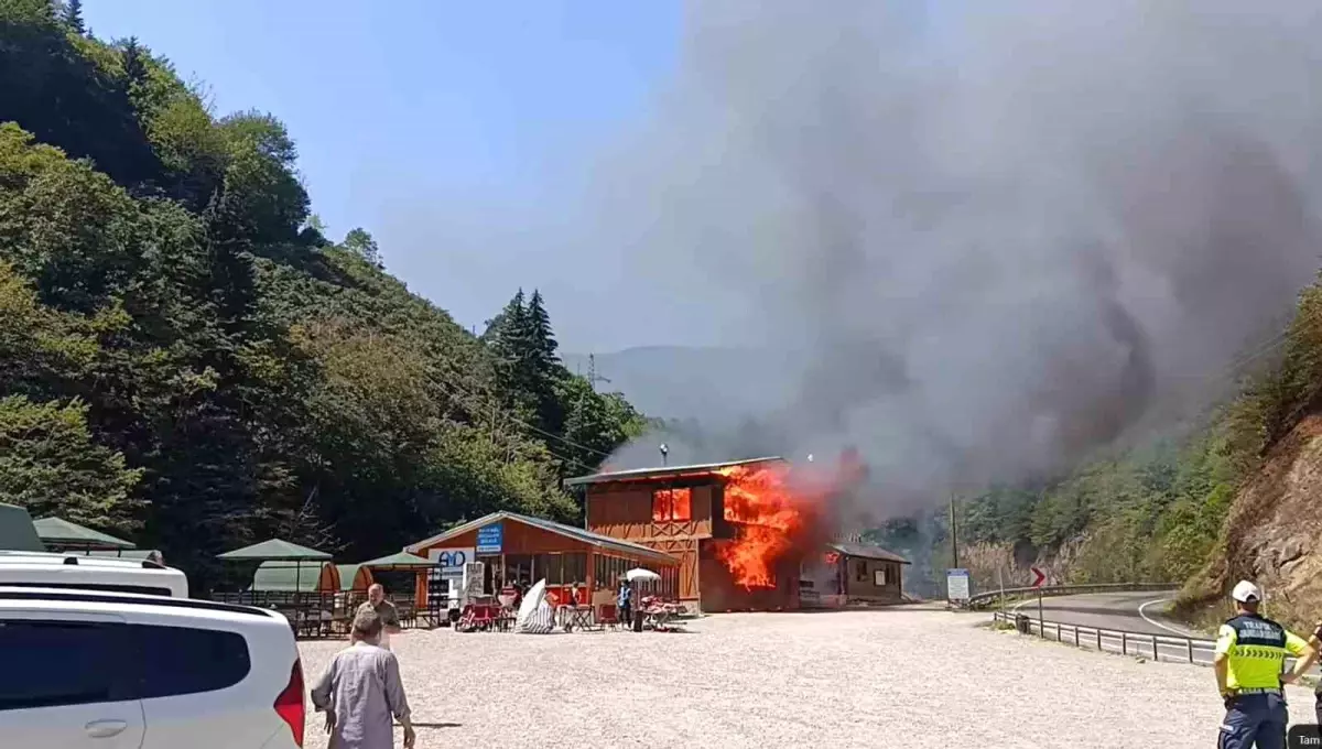 Kuzalan Tabiat Parkı\'ndaki Yangın Tesisleri Harap Etti