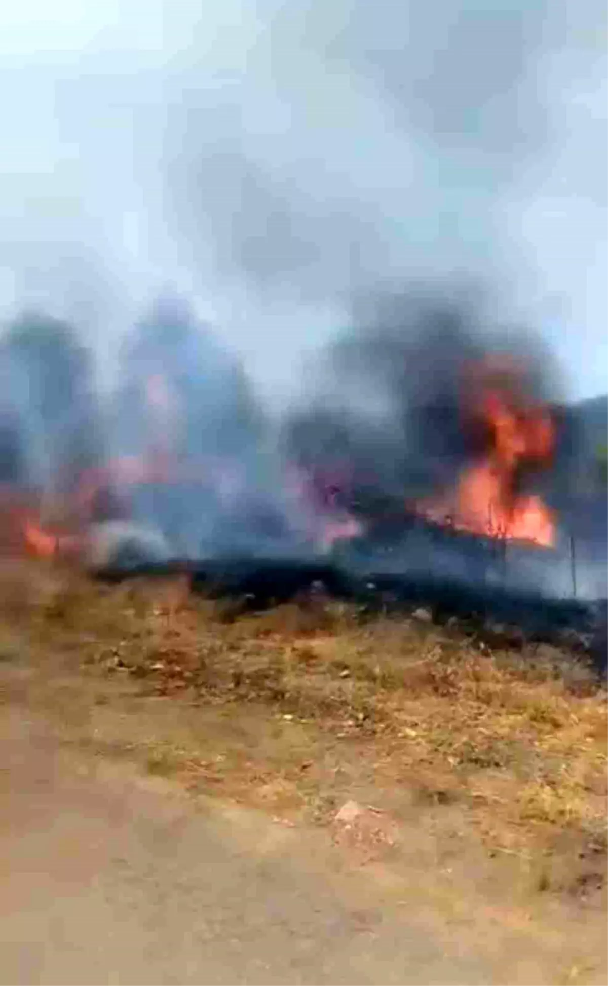 Eskipazar\'da Yangın Kontrol Altına Alındı