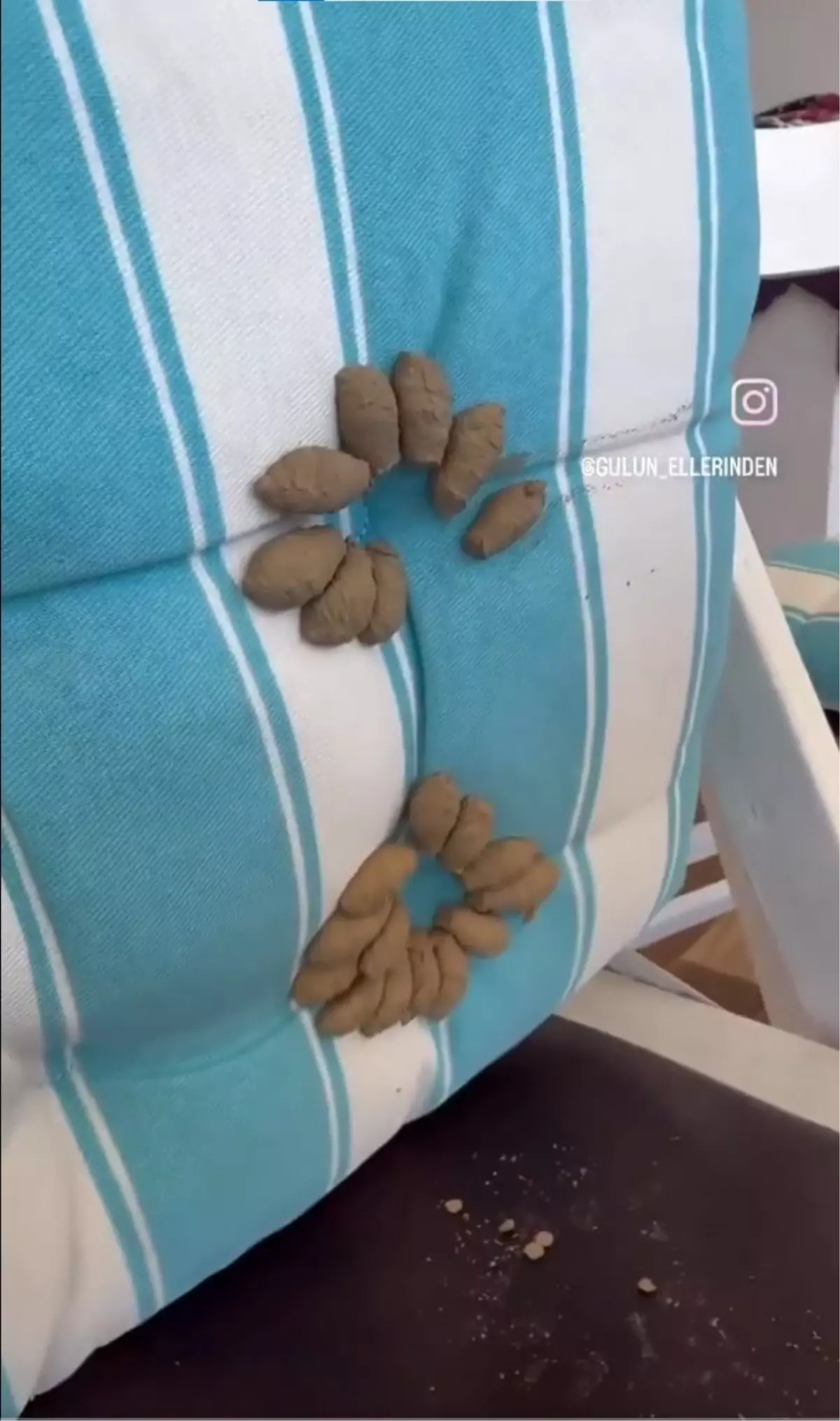 Minderini kaldıran kadın, dehşet verici manzarayla karşılaştı