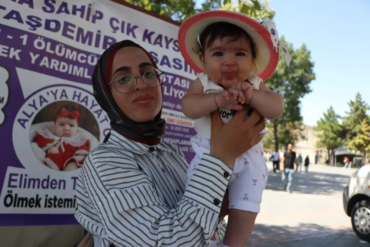 Alya\'nın Yaşam Mücadelesi