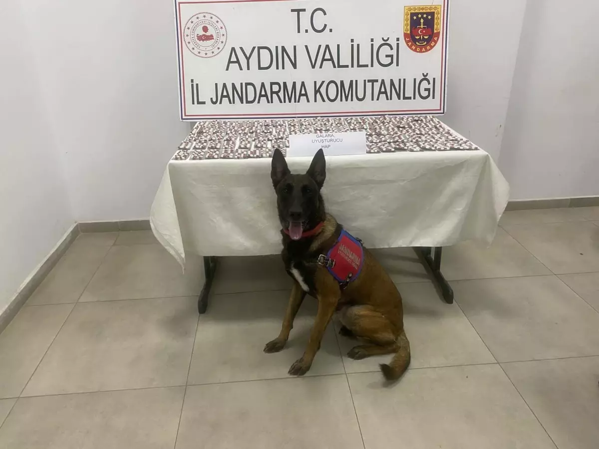Aydın\'da 1383 Sentetik Hap Ele Geçirildi