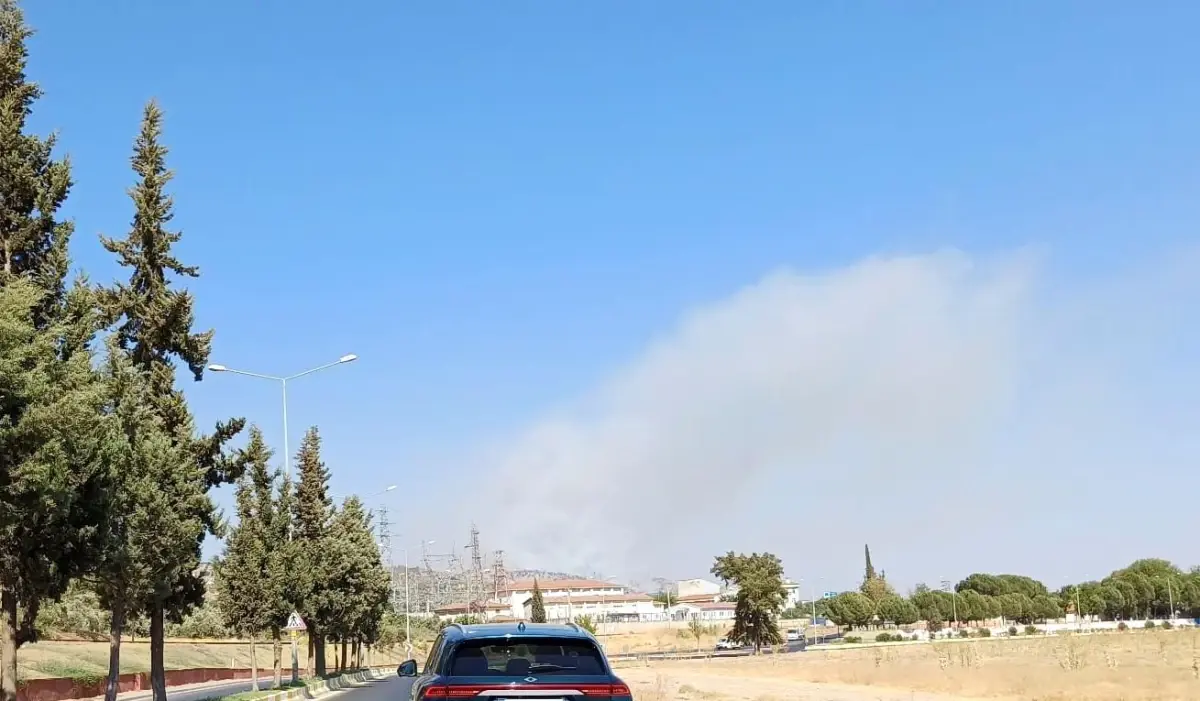 Aydın\'da Zirai Alanda Yangın Çıktı