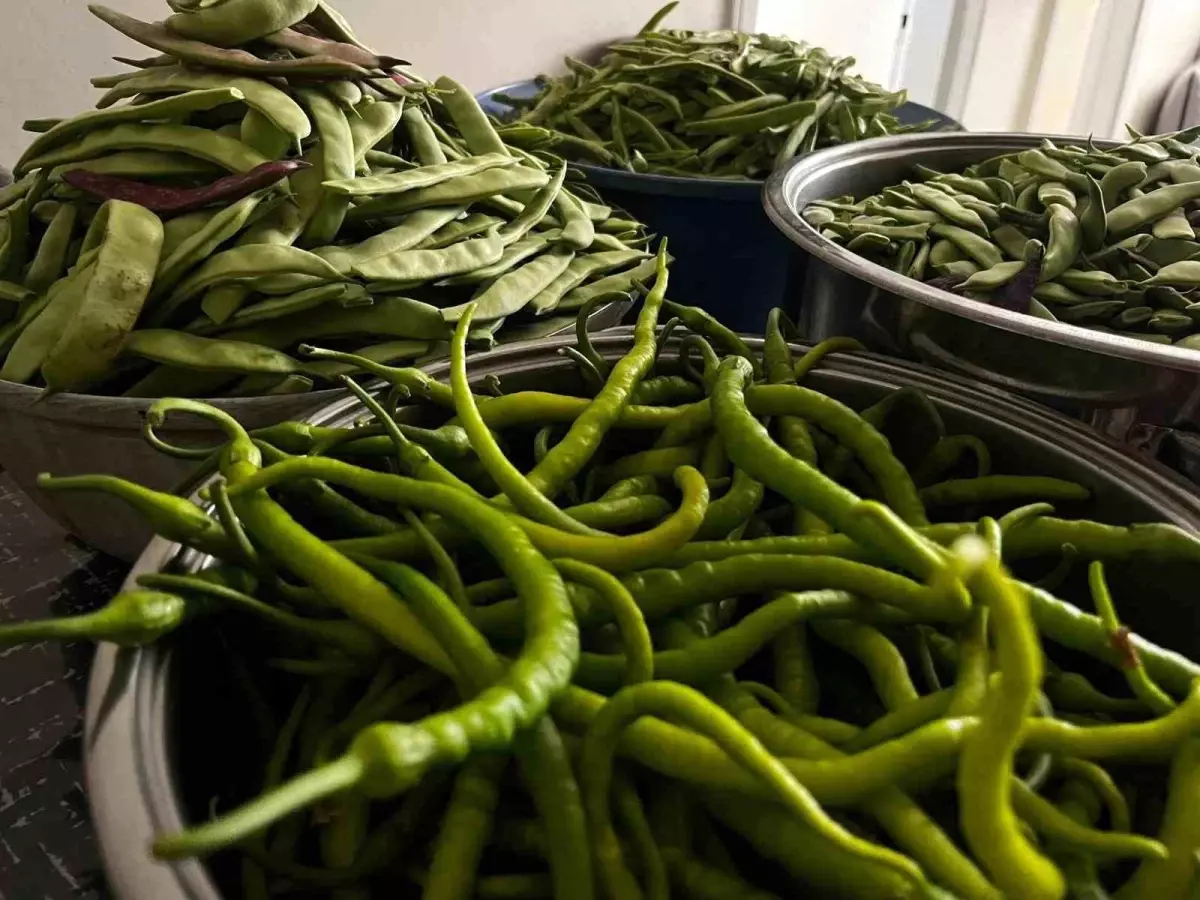 Bayburt\'ta Kış Sofraları İçin Turşu Hazırlığı