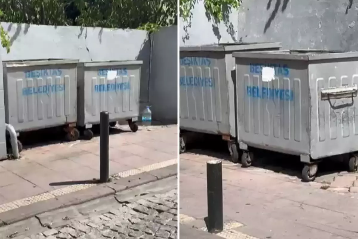 Bebeğini öldürüp çöpe atan cani anneden kan donduran itiraflar