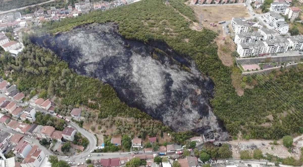 Kocaeli\'deki Orman Yangını: 2 Şüpheli Tutuklandı