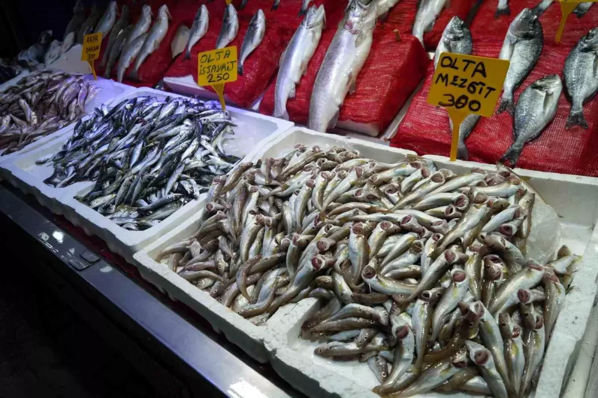 Karadeniz’de Av Sezonu Başladı, Hamsi Beklentisi Var