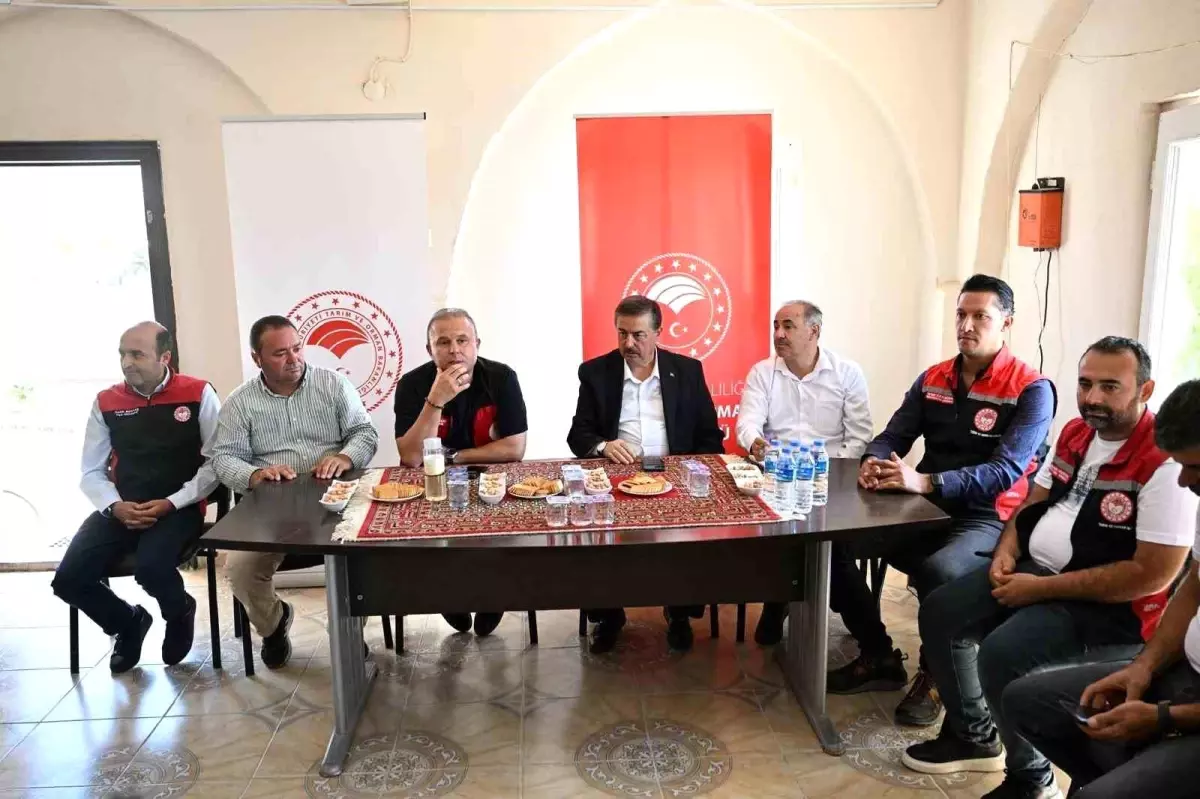 Kayseri\'de Sultan Sazlığı Projesi ile Tarımsal Üretim Desteklenecek