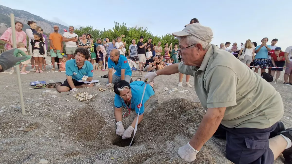 Çıralı\'da Caretta Yavruları Denize Kavuştu