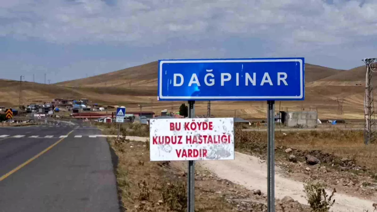 Kars\'ta Kuduz Vakasına Karantina