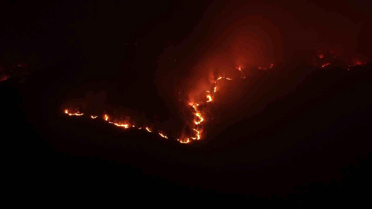 Kastamonu\'da Orman Yangını: 9 Köy Tahliye Edildi