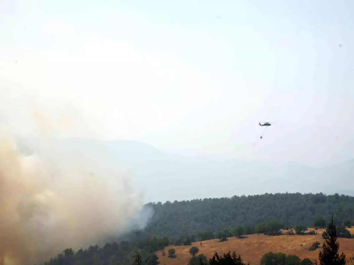 Kastamonu\'da Orman Yangınlarıyla Mücadele