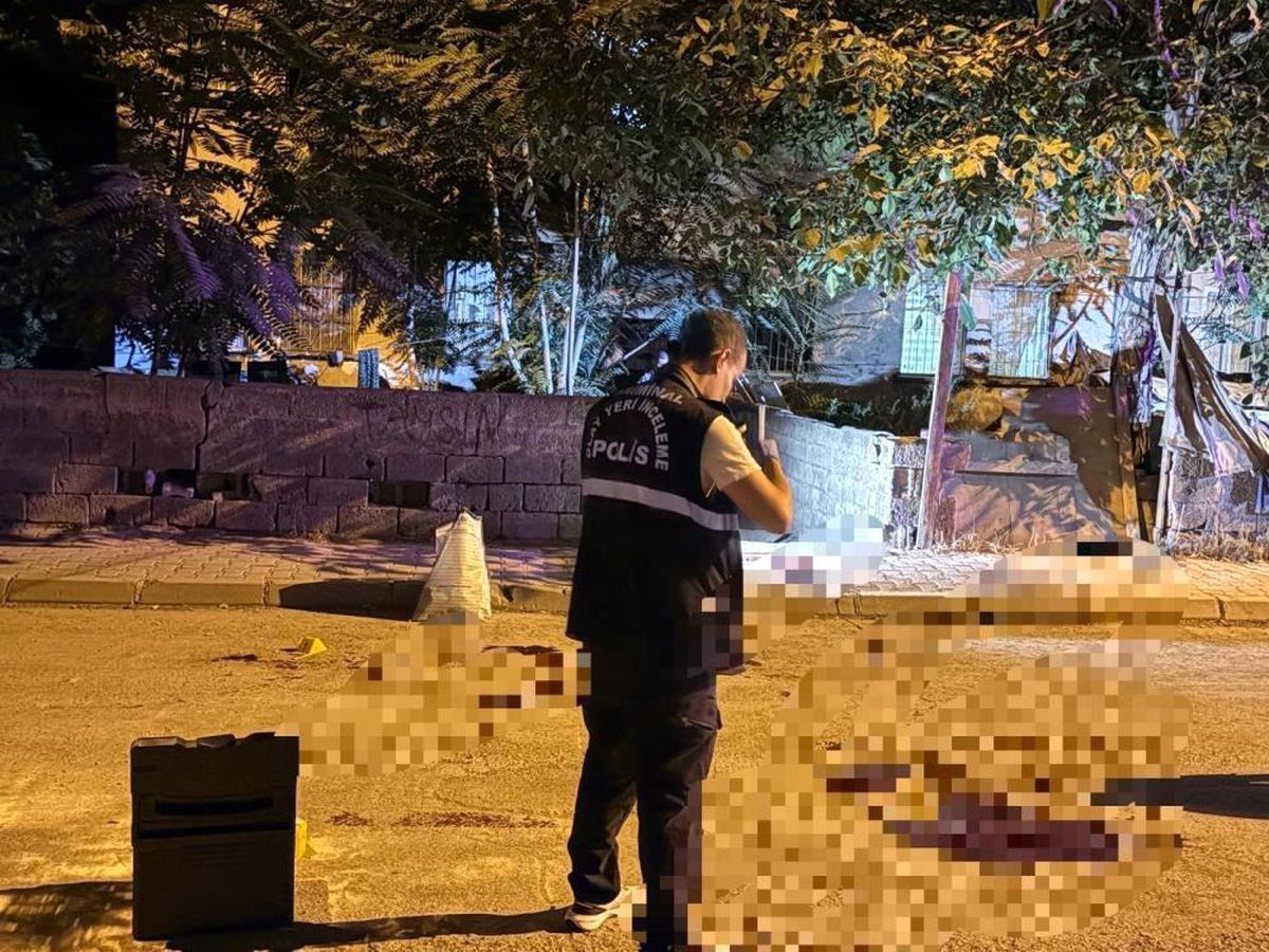 Kayseri\'de 3 Bıçaklama Olayı: 3 Cinayet
