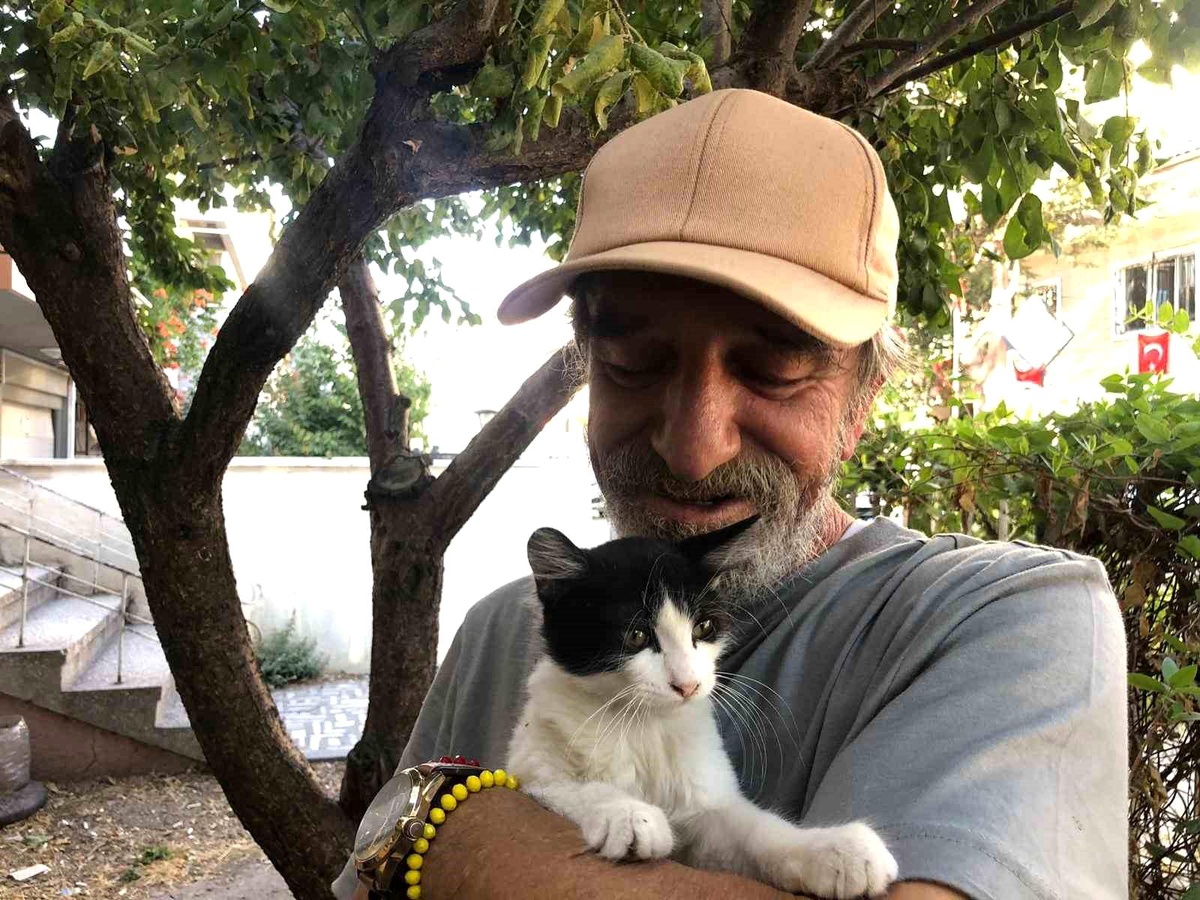 30 Yıldır Sokak Kedilerine Sahip Çıkıyor