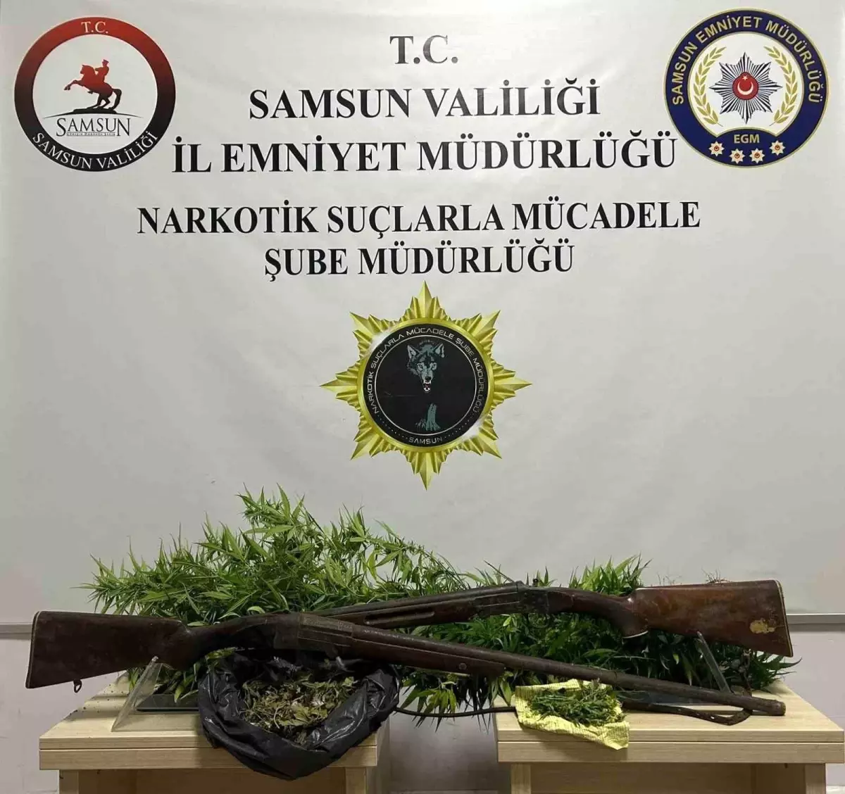 Samsun\'da Hint Keneviri ve Silah Ele Geçirildi