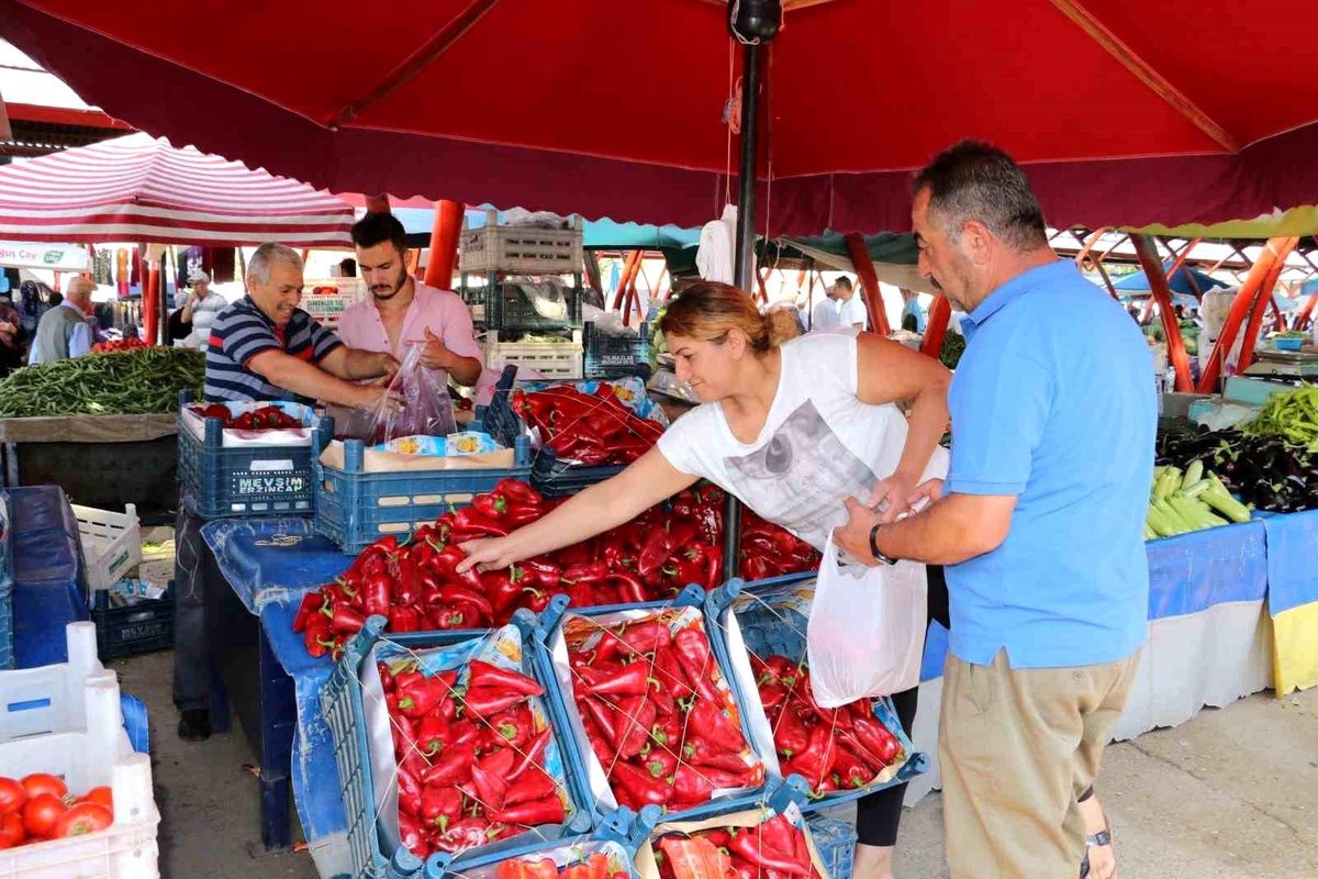 Erzincan\'da Salça Mevsimi Başladı