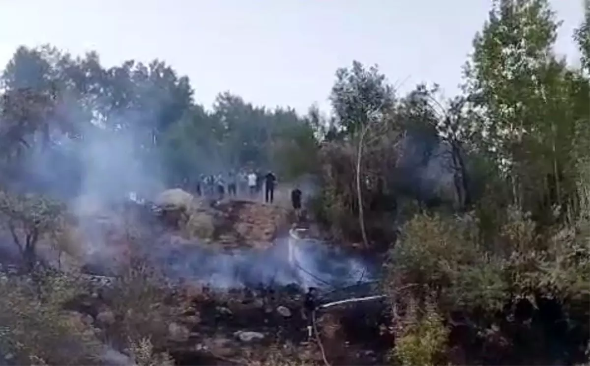 Hakkari\'de Orman Yangını Söndürüldü