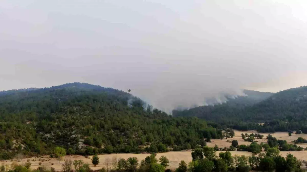 Kastamonu\'da Orman Yangını Üçüncü Günde