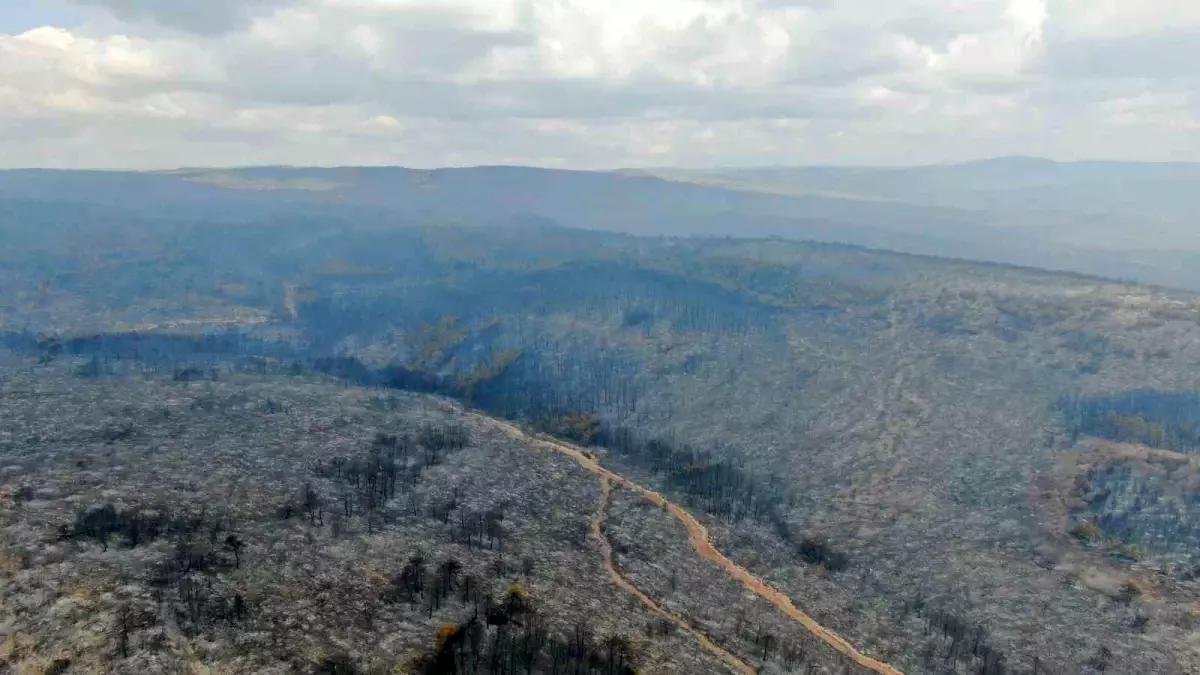 Kastamonu\'da Orman Yangını Kontrol Altına Alındı
