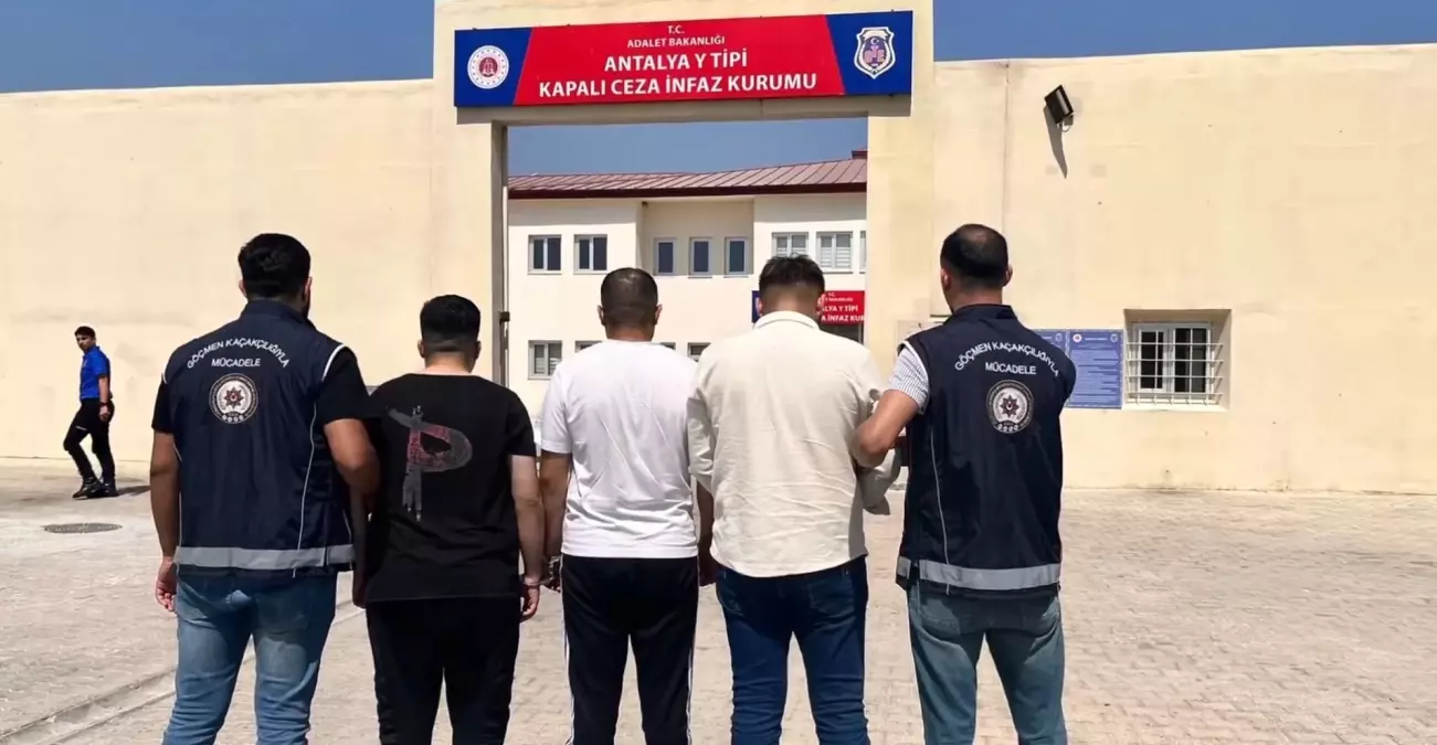 81 ilde göçmen kaçakçılarına operasyon