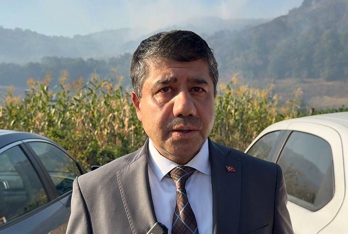 Düzce\'de Orman Yangını: Müdahale 6. Saatte Devam Ediyor