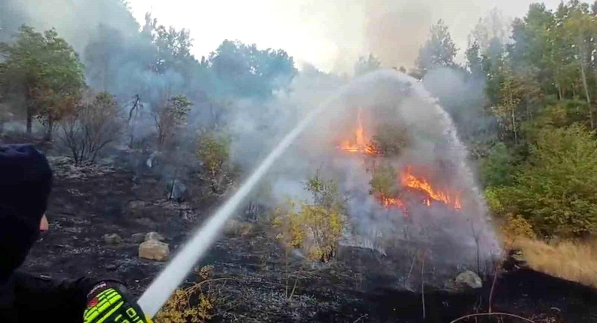 Hakkari\'de Yangınlar Kontrol Altına Alındı