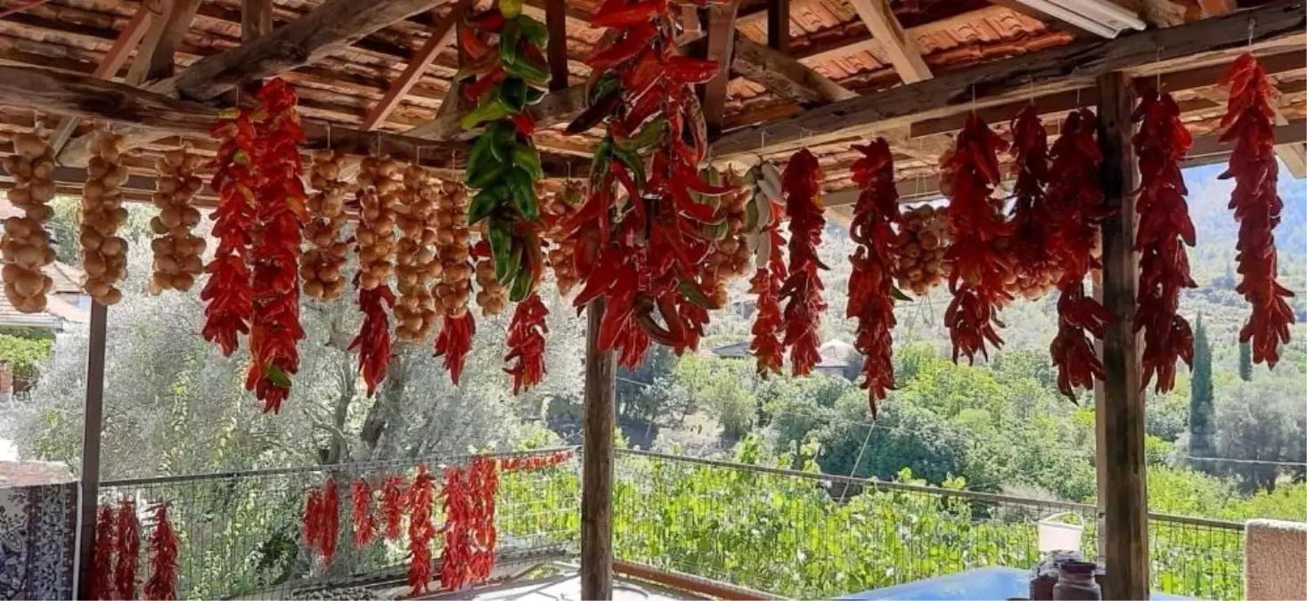 Muğla\'da Kış Hazırlığı: Kadınlar Biber Kurutuyor