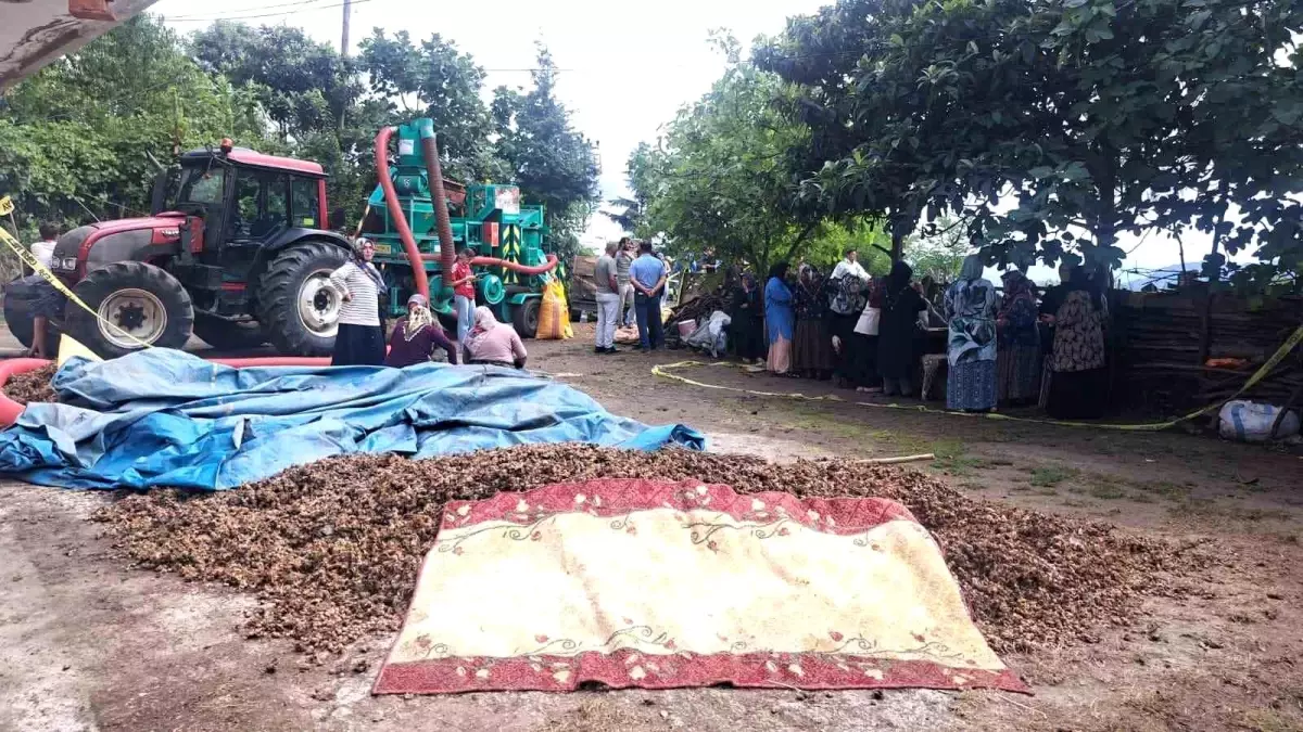 Ordu\'da Silahlı Kavga: 2 Ölü