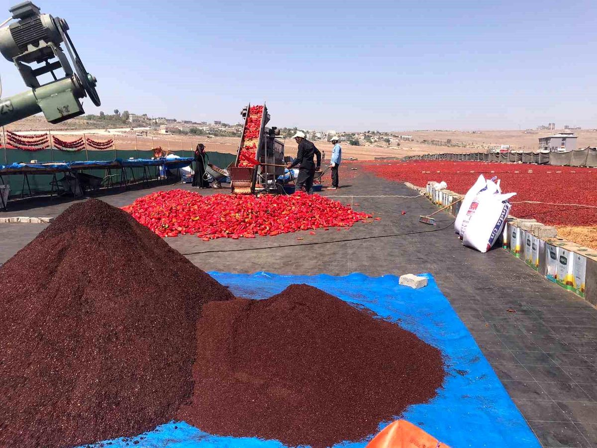 Şanlıurfa\'da İsot Üretimi Başladı