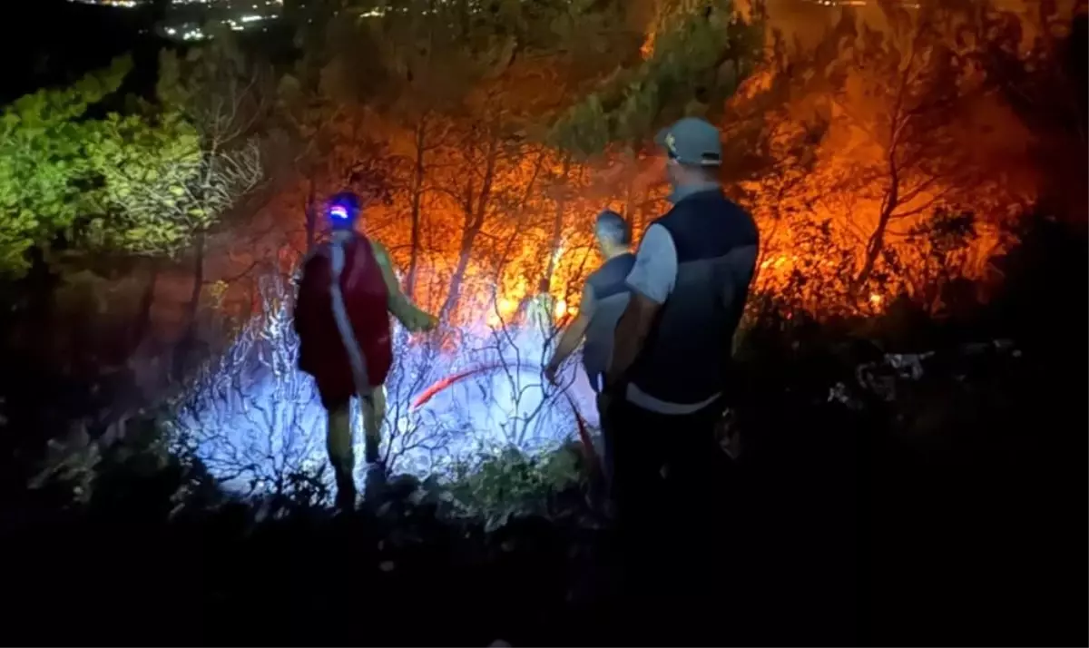 Söke\'de Orman Yangını Kontrol Altına Alındı