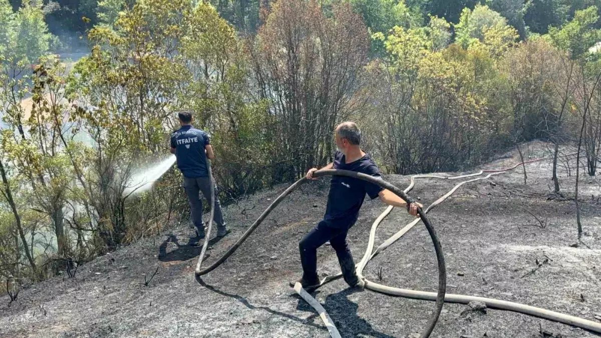 Safranbolu\'da yangın kontrol altına alındı