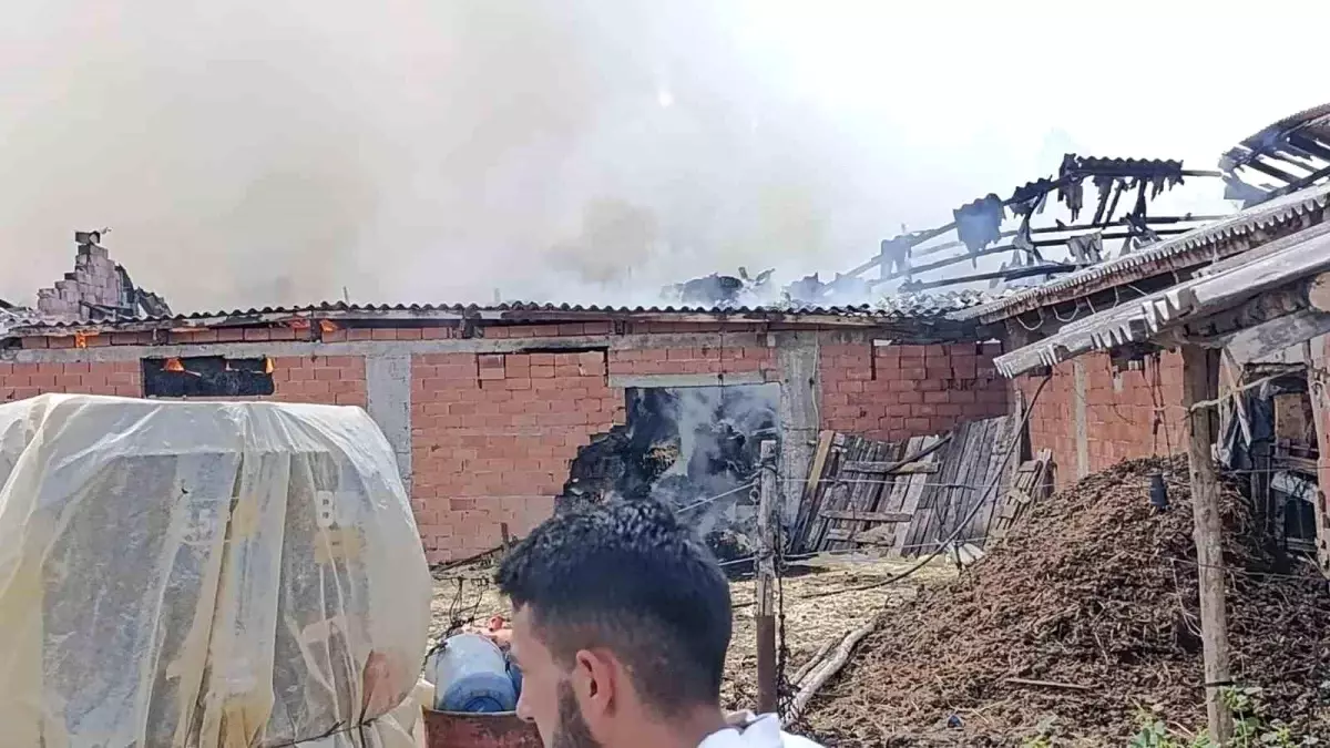 Pazaryeri\'nde Ahırda Yangın