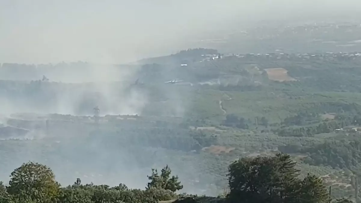 Bursa\'da Orman Yangınına Büyük Mücadele