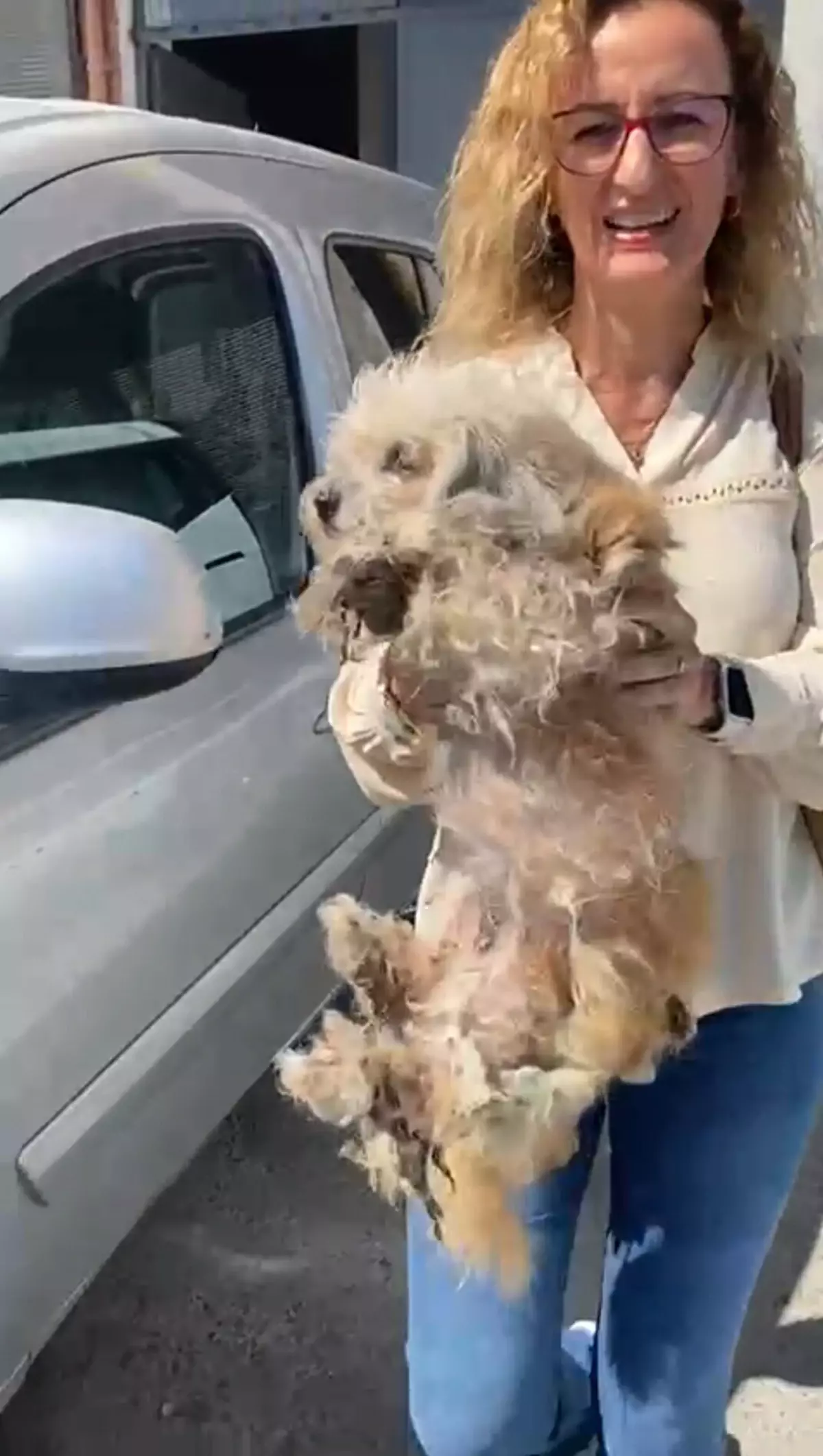 Bayraklı\'da 20 Köpek Kurtarıldı