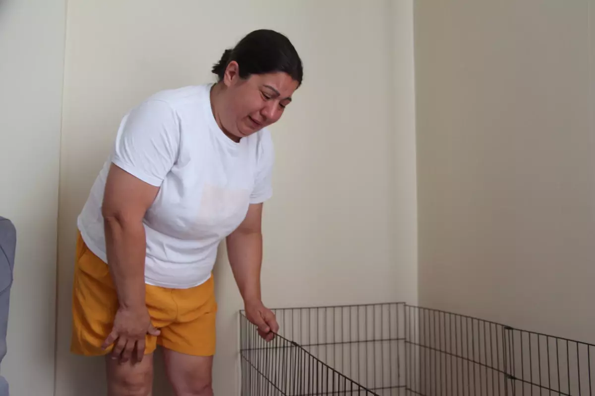 Köpeği Kalp Krizinden Ölen Kadın, İşletmeciye Suç Duyurusunda Bulundu