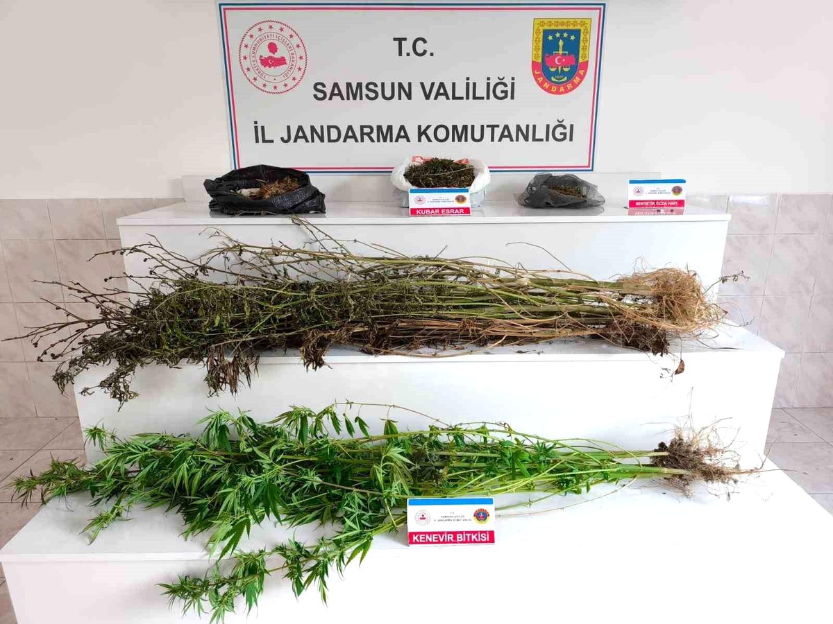 Samsun\'da Uyuşturucu Operasyonu: 2 Gözaltı