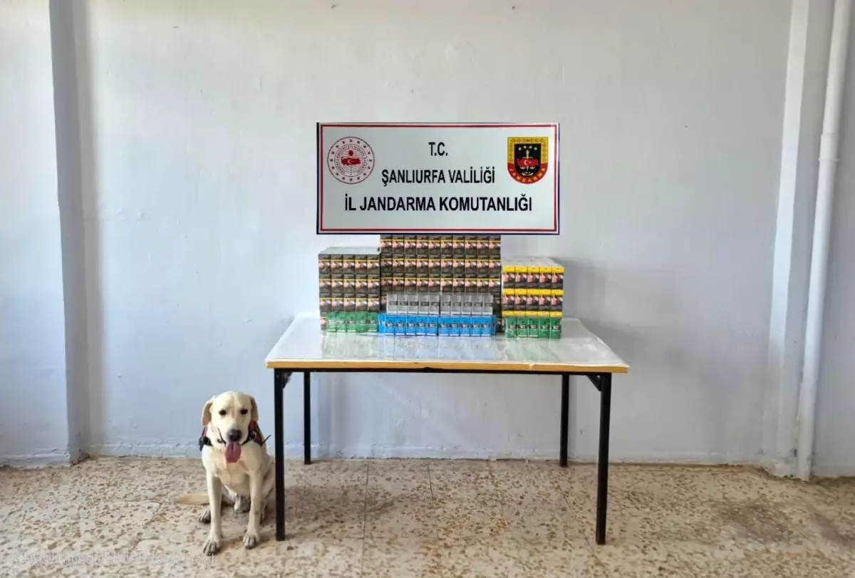 Şanlıurfa\'da Kaçakçılık Operasyonu