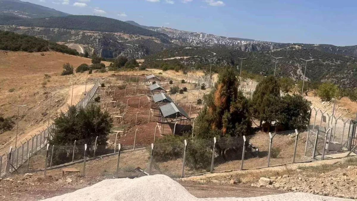 Bilecik\'te Sokak Hayvanları Doğal Yaşam Alanı\'nın Belediye Devri Reddedildi