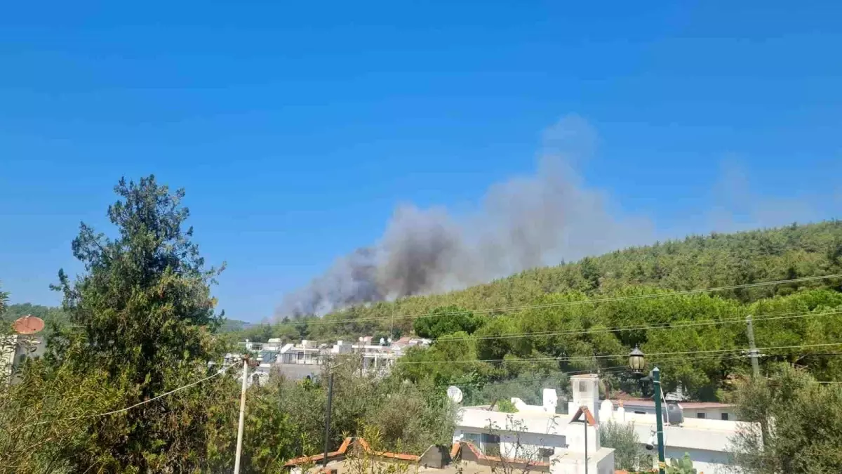 Bodrum\'da Orman Yangını