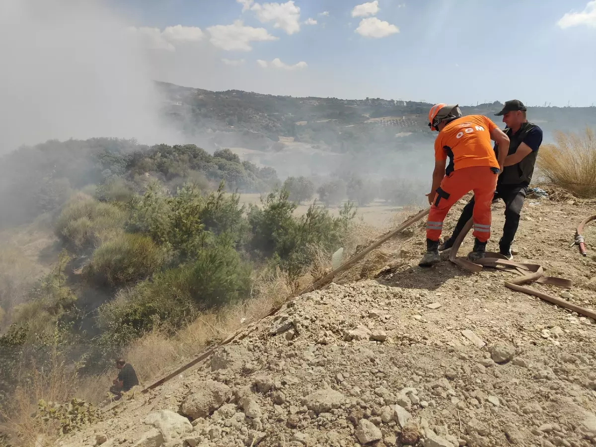 Kuşadası\'nda Yangın Kontrol Altına Alındı
