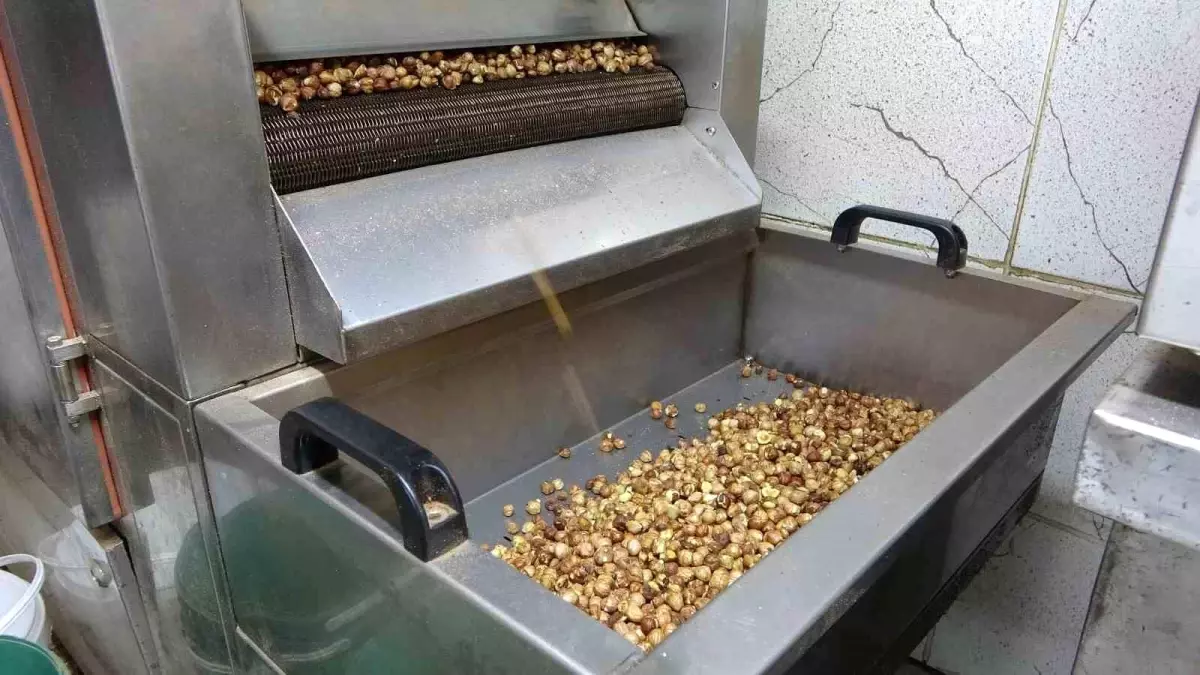 Fındık Üreticileri Zor Durumda