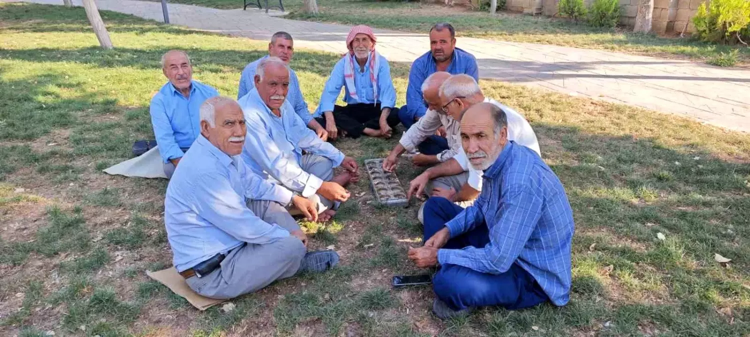 Suruç\'ta Yaşlılar Mangala Oyunu ile Zaman Geçiriyor