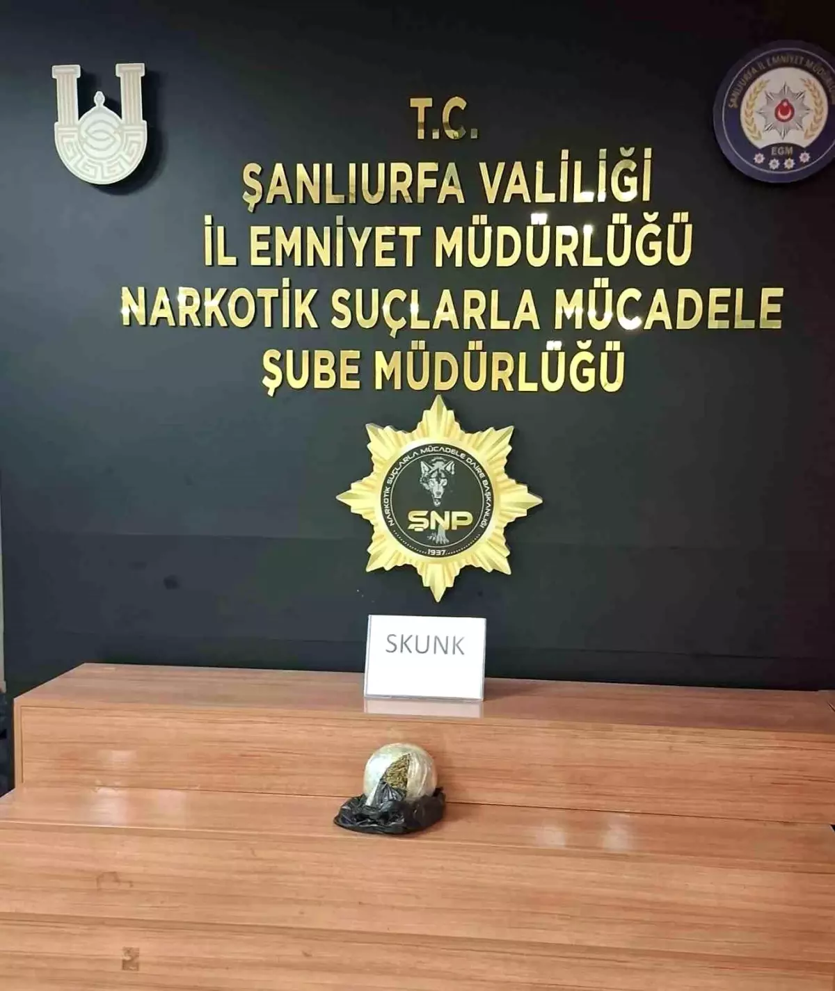 Şanlıurfa\'da Otobüste Skunk Ele Geçirildi