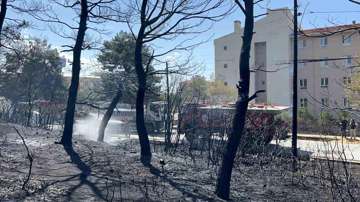 Çanakkale\'de Orman Yangını Kontrol Altına Alındı