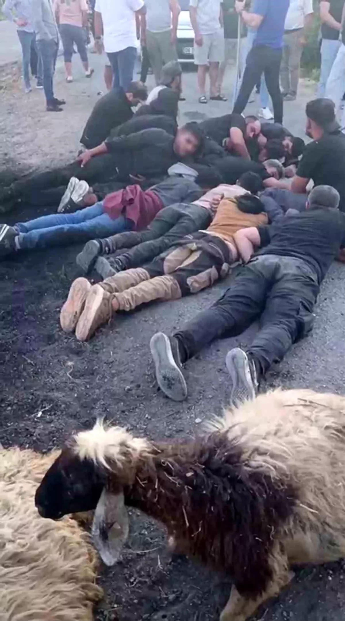 Hatay\'da Kaza: Sürücü Kaçak Göçmenleri Bırakıp Kaçtı