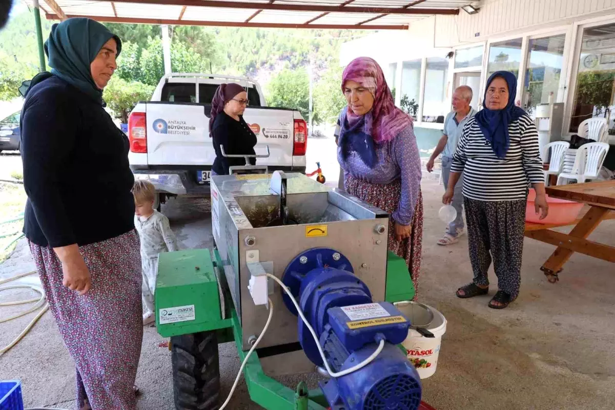 Antalya\'da Üzüm Sıkma Makineleri Üreticilere Destek Oluyor