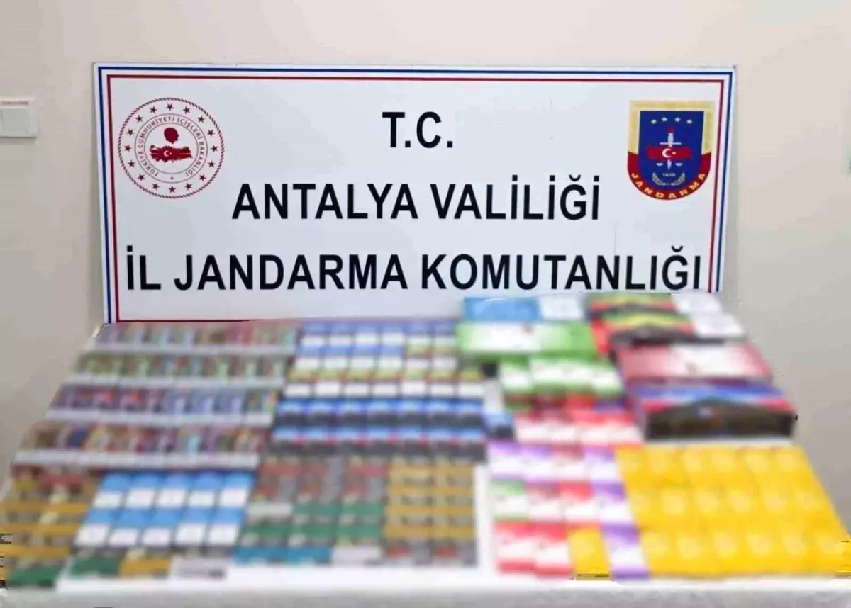 Manavgat\'ta Kaçak Ürün Operasyonu